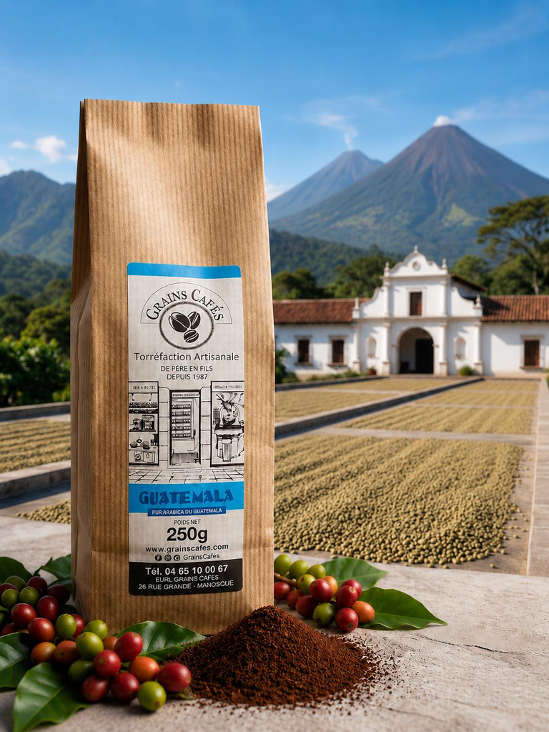 Guatemala SHB — Moulu